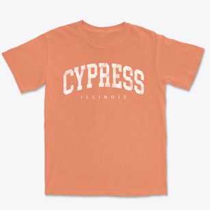 Cypress Illinois Urban Vibe Premium Heavyweight T-shirt