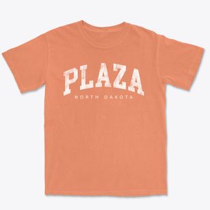 Plaza North Dakota Urban Vibe Premium Heavyweight T-shirt