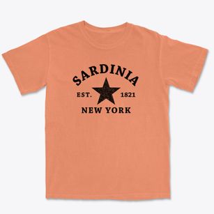 Sardinia New York Star Premium Heavyweight T-shirt
