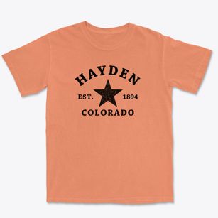 Hayden Colorado Star Premium Heavyweight T-shirt