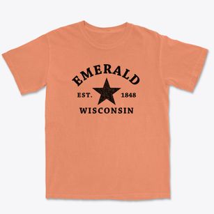 Emerald Wisconsin Star Premium Heavyweight T-shirt