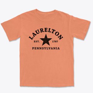 Laurelton Pennsylvania Star Premium Heavyweight T-shirt