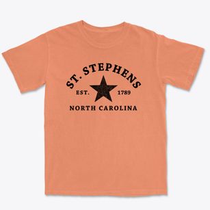 St. Stephens North Carolina Star Premium Heavyweight T-shirt