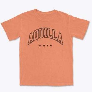 Aquilla Ohio Inline Premium Heavyweight T-shirt