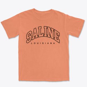 Saline Louisiana Inline Premium Heavyweight T-shirt