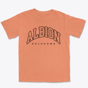 Albion Oklahoma Inline Premium Heavyweight T-shirt