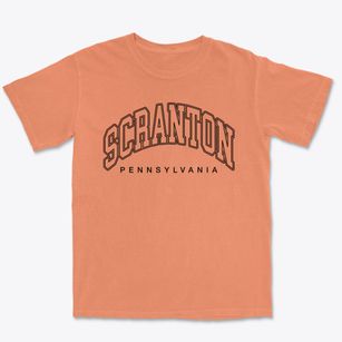 Scranton Pennsylvania Inline Premium Heavyweight T-shirt
