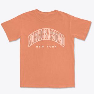 North Hempstead New York Inline Premium Heavyweight T-shirt