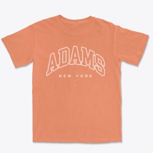 Adams New York Inline Premium Heavyweight T-shirt