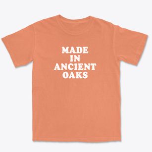 Ancient Oaks Pennsylvania Classic 70s Premium Heavyweight T-shirt