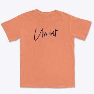 Umiat Alaska Freestyle Premium Heavyweight T-shirt