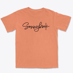 Sunnybrook Pennsylvania Freestyle Premium Heavyweight T-shirt