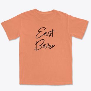 East Barre New York Freestyle Premium Heavyweight T-shirt