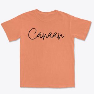 Canaan New York Freestyle Premium Heavyweight T-shirt