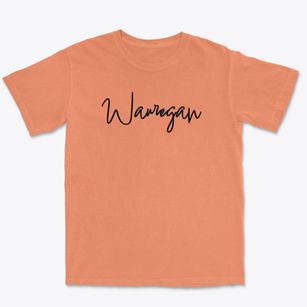 Wauregan Connecticut Freestyle Premium Heavyweight T-shirt