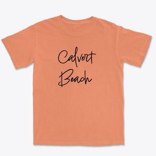 Calvert Beach Maryland Freestyle Premium Heavyweight T-shirt