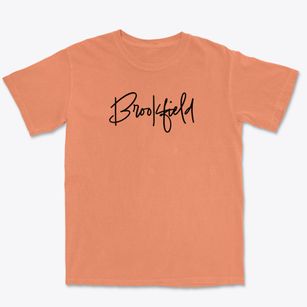 Brookfield Illinois Freestyle Premium Heavyweight T-shirt