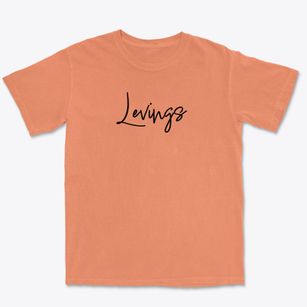 Levings Illinois Freestyle Premium Heavyweight T-shirt