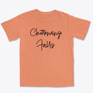 Chittenango Falls New York Freestyle Premium Heavyweight T-shirt