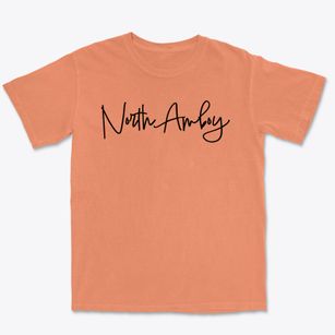 North Amboy New York Freestyle Premium Heavyweight T-shirt