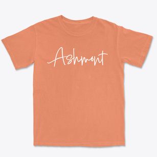 Ashmont North Carolina Freestyle Premium Heavyweight T-shirt