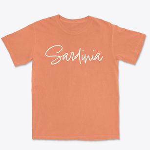 Sardinia New York Freestyle Premium Heavyweight T-shirt