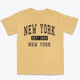 New York City New York Classic Established Premium Heavyweight T-shirt