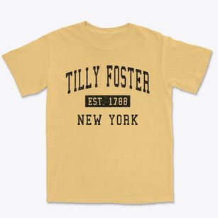 Tilly Foster New York Classic Established Premium Heavyweight T-shirt