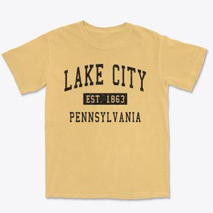 Lake City Pennsylvania Classic Established Premium Heavyweight T-shirt