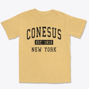 Conesus New York Classic Established Premium Heavyweight T-shirt