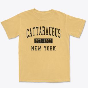 Cattaraugus New York Classic Established Premium Heavyweight T-shirt