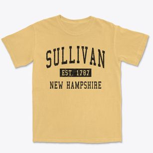 Sullivan New Hampshire Classic Established Premium Heavyweight T-shirt