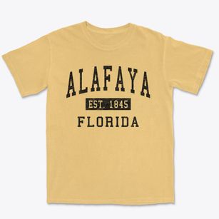 Alafaya Florida Classic Established Premium Heavyweight T-shirt