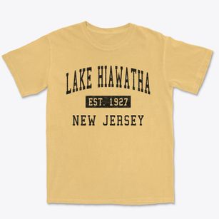 Lake Hiawatha New Jersey Classic Established Premium Heavyweight T-shirt