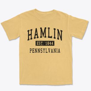 Hamlin Pennsylvania Classic Established Premium Heavyweight T-shirt