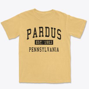 Pardus Pennsylvania Classic Established Premium Heavyweight T-shirt