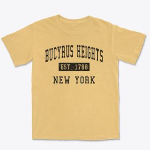 Bucyrus Heights New York Classic Established Premium Heavyweight T-shirt