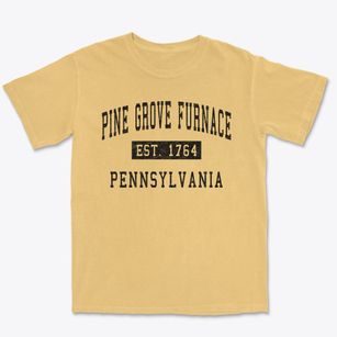 Pine Grove Furnace Pennsylvania Classic Established Premium Heavyweight T-shirt