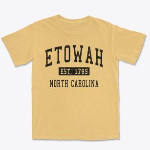 Etowah North Carolina Classic Established Premium Heavyweight T-shirt