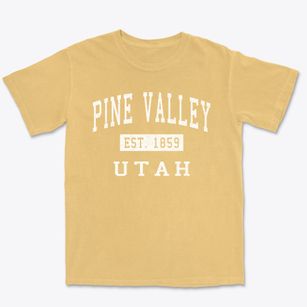 Pine Valley Utah Classic Established Premium Heavyweight T-shirt