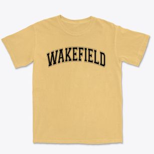 Wakefield Elementary School Varsity Arch Premium Heavyweight T-shirt