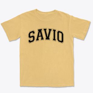 St. Dominic Savio Catholic High School Varsity Arch Premium Heavyweight T-shirt