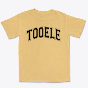 Tooele Junior High School Varsity Arch Premium Heavyweight T-shirt