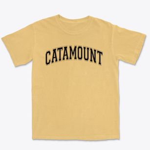 Catamount Elementary School Varsity Arch Premium Heavyweight T-shirt