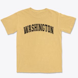 Washington Elementary School Varsity Arch Premium Heavyweight T-shirt