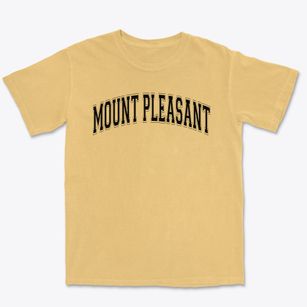 Mount Pleasant Elementary School Varsity Arch Premium Heavyweight T-shirt