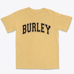 Burley Junior High School Varsity Arch Premium Heavyweight T-shirt