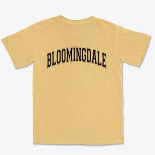 Bloomingdale Elementary School Varsity Arch Premium Heavyweight T-shirt