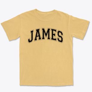 James Fitzgerald Elementary School Varsity Arch Premium Heavyweight T-shirt