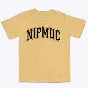 Nipmuc Regional High School Varsity Arch Premium Heavyweight T-shirt